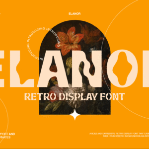 Elanor Retro Display Font